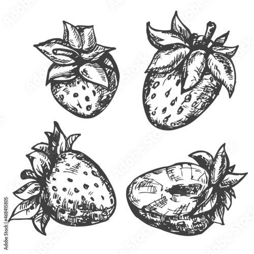 Wallpaper Mural Set of vector hand draw strawberry isolated on white background. Botanical illustration in sketch style. Design elements for branding organic healthy fresh food or market cover, banner, menu. Torontodigital.ca