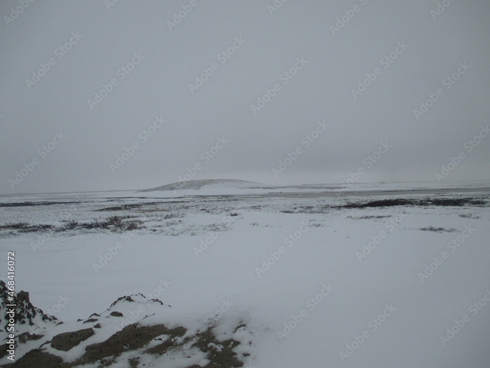 snow desert snow desert
