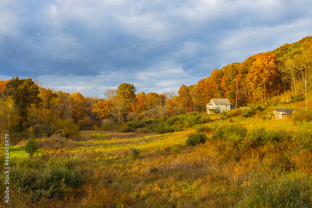 A small country house in the middle of a pretty field with Autumn colors in the background.