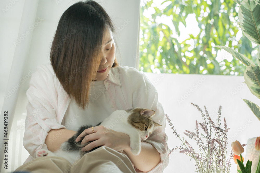 asian woman play with white brown tabby scottish straight cat in her living room asian woman play with white brown tabby scottish straight cat in her living room