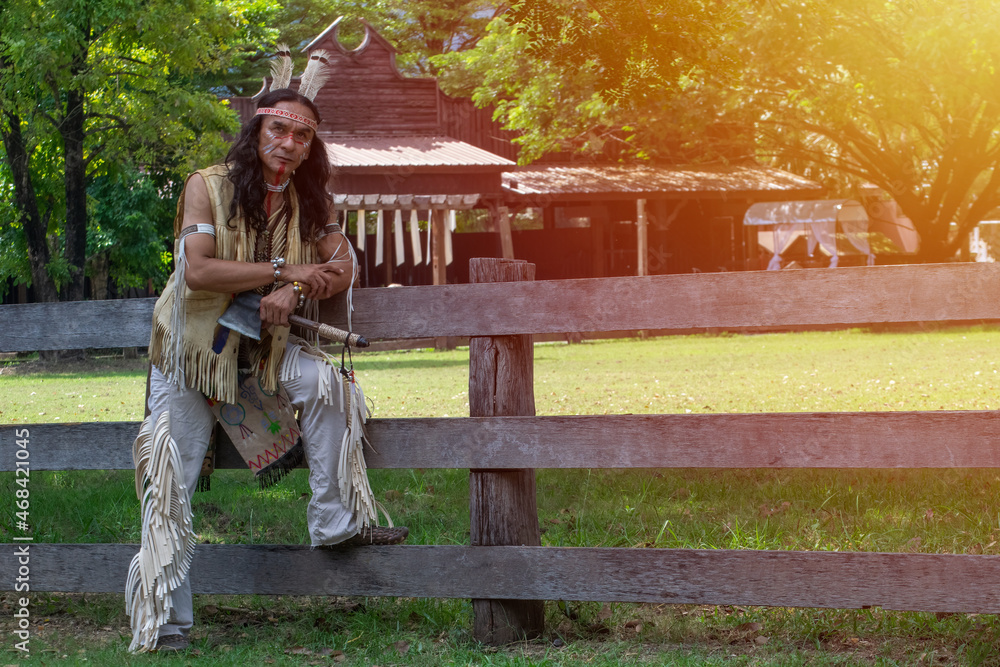 Naklejka premium native Americans.Americans Indian man with horse .