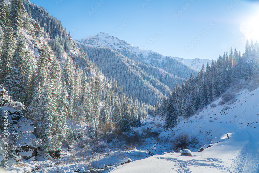 Snowy morning in the mountains in nature Snowy morning in the mountains in nature
