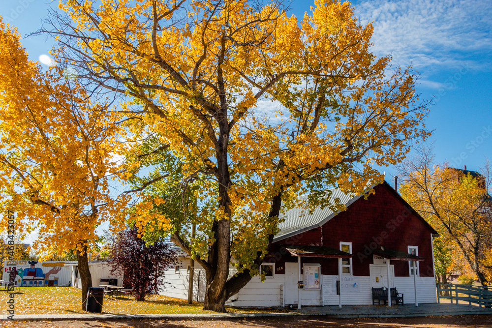 Community meeting hall, Rowley Ghost Town. Rowley, Alberta, Canada