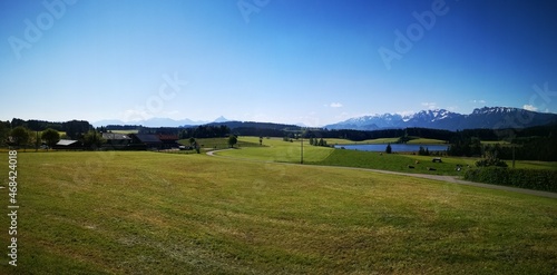 Ostallgäupanorama mit Attlesee, Säuling und Tegelberg im Sommer bei blauem Himmel