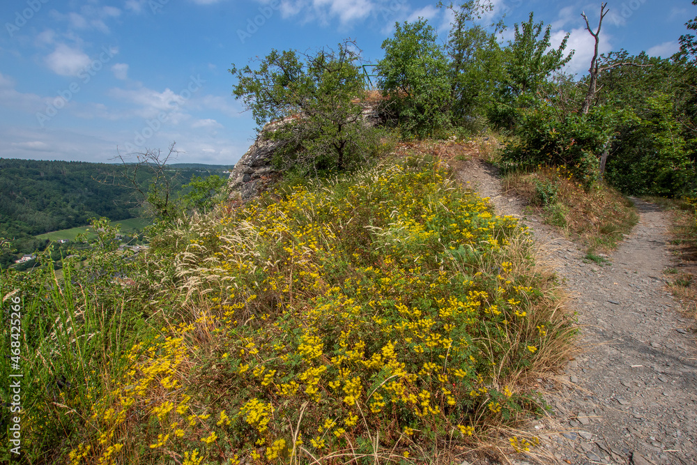 Felsen, Moselsteig, Starkenburg, 02.07.2021 Felsen, Moselsteig, Starkenburg, 02.07.2021
