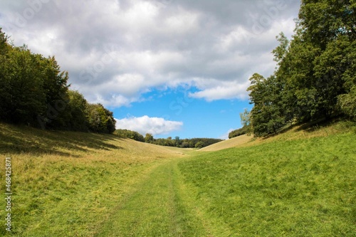 footpath through Arundel Park West Sussex England on a bright sunny day