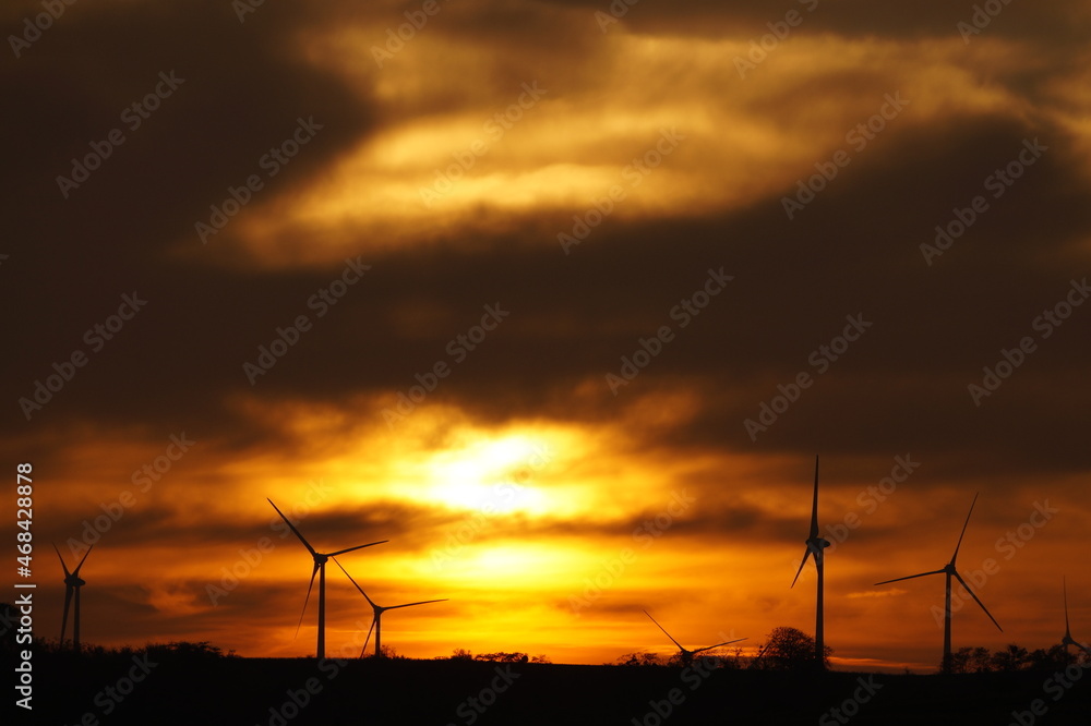 Windkrafträder im Sonnenuntergang 