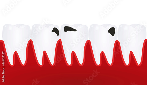 Human teeth isolated. vector illustration