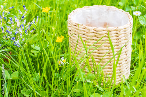 Home gardening and care. Preparation for transplanting or repotting room plant. Houseplant care. Blurred background, straw pot for flowerpot