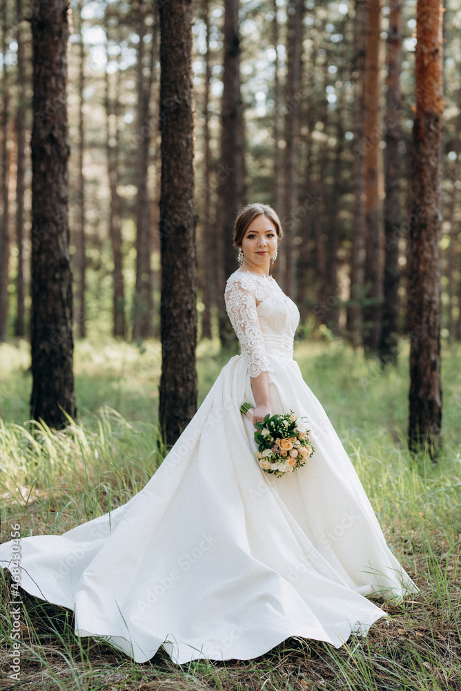 the bride walking in a pine forest the bride walking in a pine forest