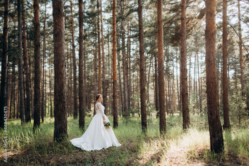 the bride walking in a pine forest the bride walking in a pine forest