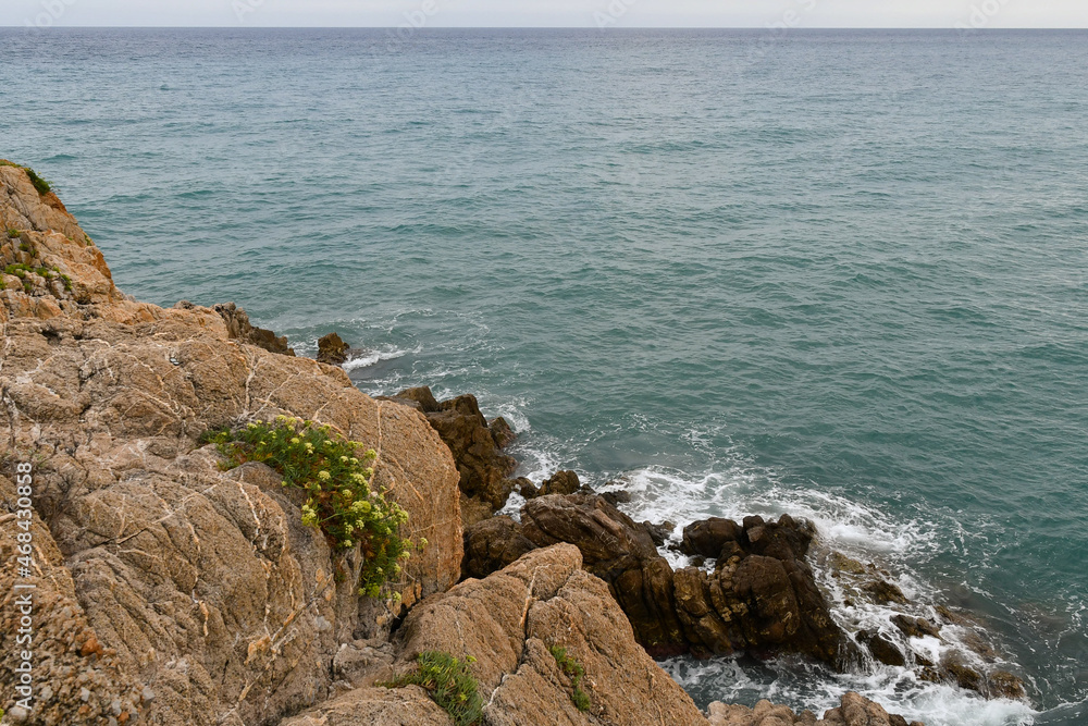 View from the top of a rocky cliff with wild flowers and the Liguria Sea in the background, Alassio, Savona, Liguria, Italy