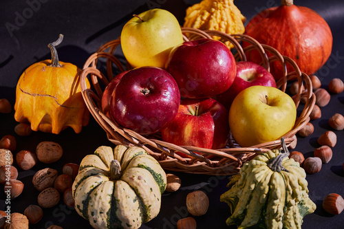Autumn harvest. Still-life. Apples are red, yellow in a basket on a black background. Colorful pumpkins, nuts.