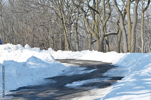 Road into the Snowy Woods