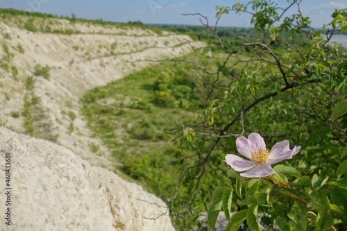 Kaliszany, dawny kamieniolom.