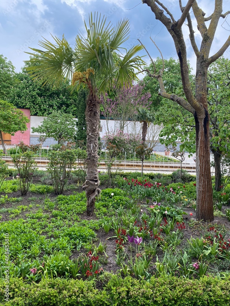 Fototapeta premium tropical garden