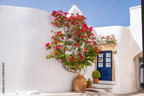 Whitewashed house blue door red bougainvillea in amphora at Kythira island Chora village Greece photo
