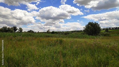поле landscape