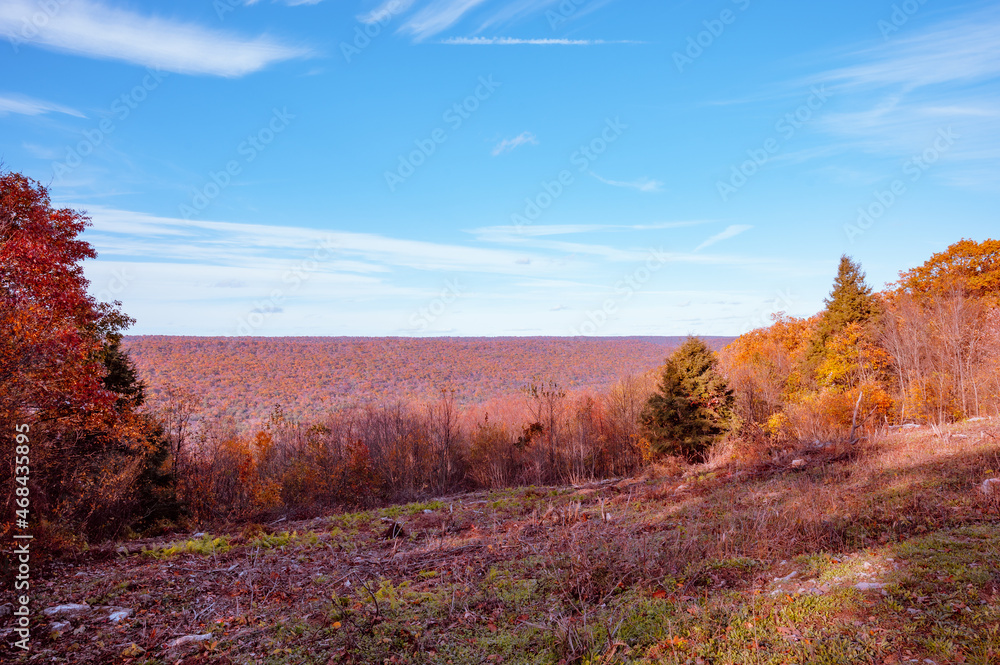 Fototapeta premium Fall Autumn foliage during October.