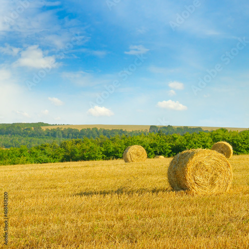 A field with straw bales after harvest and sky .