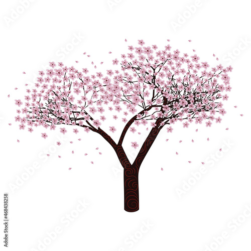 Sakura tree in bloom