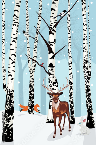 Winter birch trees and animals