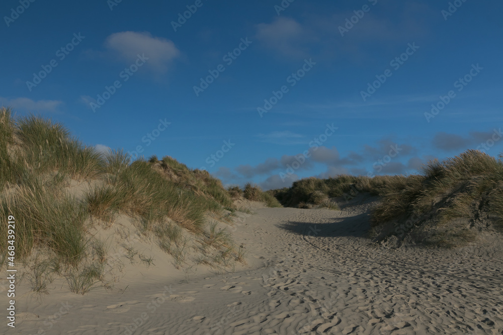 Dune landscaape with beach grass.