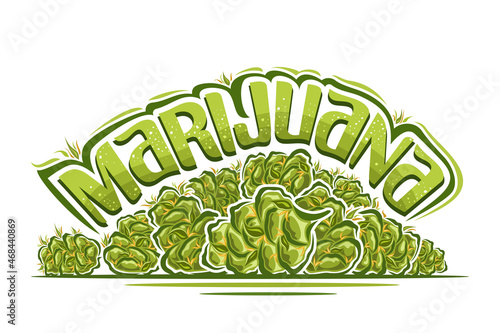 Vector logo for Marijuana  horizontal poster with illustration of ounce marijuana buds and cartoon isolated dried cannabis flower  unique brush lettering for green word marijuana on white background.