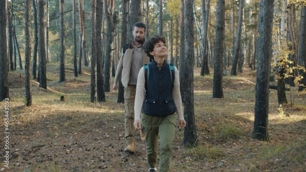 Man and woman with backpacks are hiking in wild woods talking smiling enjoying vacation together. Relationship and relaxation concept. Man and woman with backpacks are hiking in wild woods talking smiling enjoying vacation together. Relationship and relaxation concept.