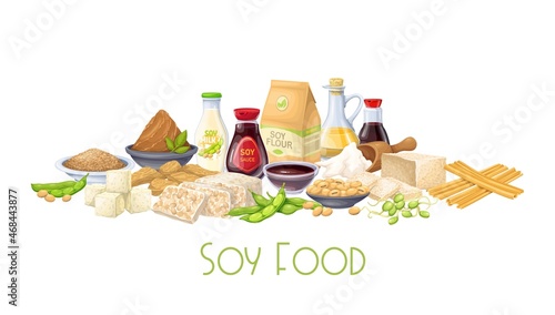 Soy food horizontal banner. Soybean, tofu skin, coagulated soy milk, tempeh, soy sprouts, miso, flour vector illustration.
