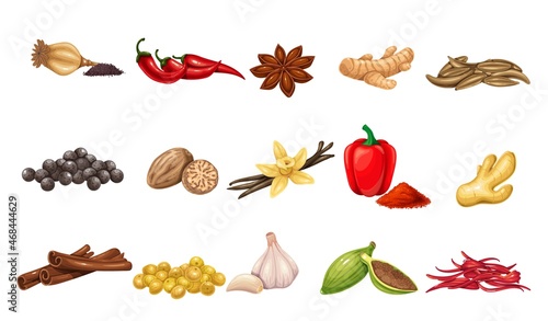 Culinary spices and condiments. Peppercorns, bay leaf, cardamom, chili, cumin, garlic, ginger and mustard. Oregano, thyme, turmeric, saffron threads, star anice, marjoram, nutmeg, anice and poppy