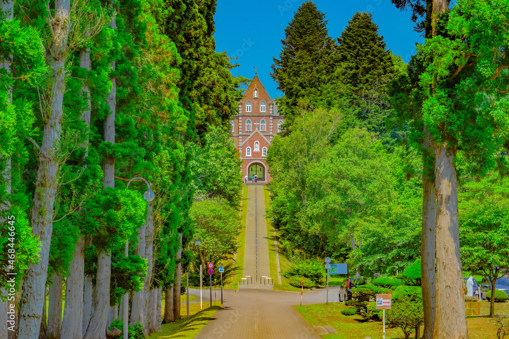 Fototapeta premium トラピスト修道院と杉並木道