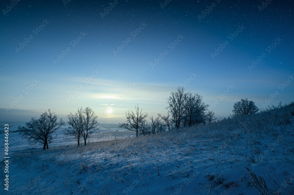 Silhouettes of trees on a snowy meadow illuminated by moonlight. Fabulous winter night landscape