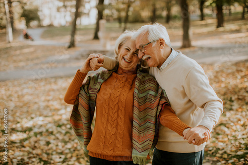 Senior couple embracing in ...