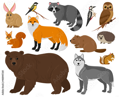Cartoon forest animals  owl  bear  fox  raccoon and squirrel. Woodland wild animals and birds isolated vector illustration set. Woods wildlife fauna