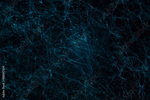 blue texture network abstraction natural mycelium mold neurons © Алексей Доненко