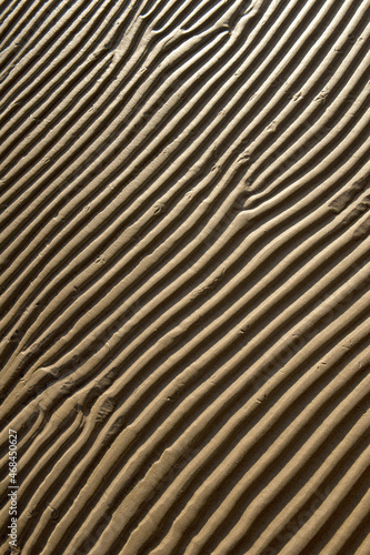 ripples of sand