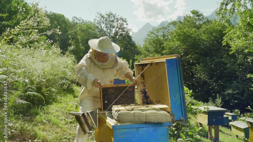 Happy Professional beekeeper in protective hat is busy on apiary. Woman Bee master works near bee hives in summer. Apiary and honey making, small agricultural business and hobby Happy Professional beekeeper in protective hat is busy on apiary. Woman Bee master works near bee hives in summer. Apiary and honey making, small agricultural business and hobby