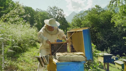 Happy Professional beekeeper in protective hat is busy on apiary. Woman Bee master works near bee hives in summer. Apiary and honey making, small agricultural business and hobby