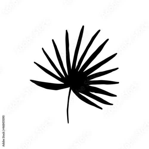 Sketch tropical fan palm leaf in line art style. Doodle outline jungle plant. Hand drawn exotic leaves vector illustration isolated on white background