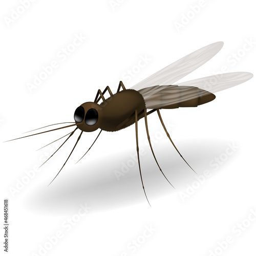 Realistic tropical fever zika virus transmitter mosquito. Vector image of a mosquito isolated on white background.