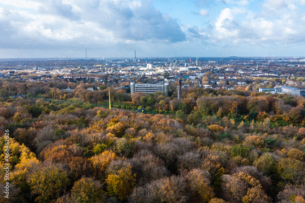 Obraz premium A walk through the Duisburg city forest in autumn