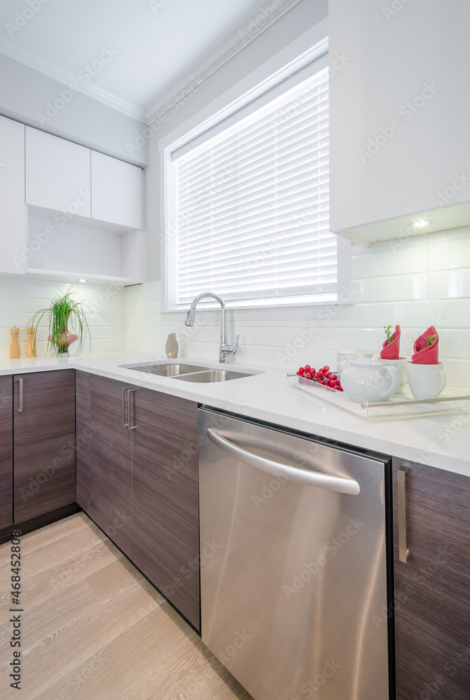 Fototapeta premium Modern kitchen in luxury house.