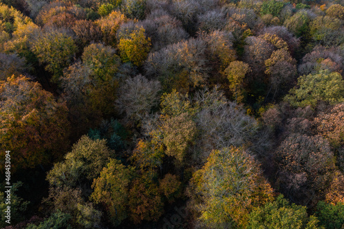 A walk through the Duisburg city forest in autumn © Julia Hermann