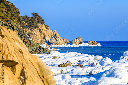 Far Eastern Marine Reserve. Rocky coast of the Sea of Japan. The grave pines of the marine reserve grow on sheer cliffs against the backdrop of the sea.