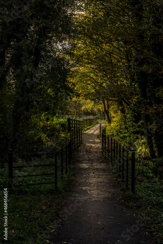 Autumn colours in Roe Valley country Park  Limavady  County Londonderry  Northern Ireland