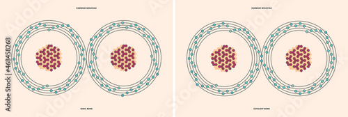 Conceptual vector representation of a cadmium molecule, made up of two atoms, and the types of chemical bonds: covalent, atoms sharing electrons, and ionic, an atom gives an electron to another atom. 