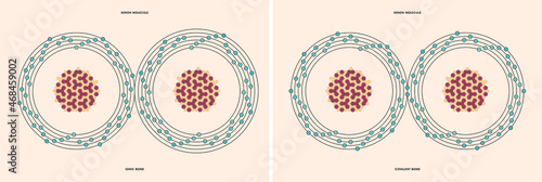 Photos Conceptual vector representation of a xenon molecule, made up of two atoms, and the types of chemical bonds: covalent, atoms sharing electrons, and ionic, an atom gives an electron to another atom