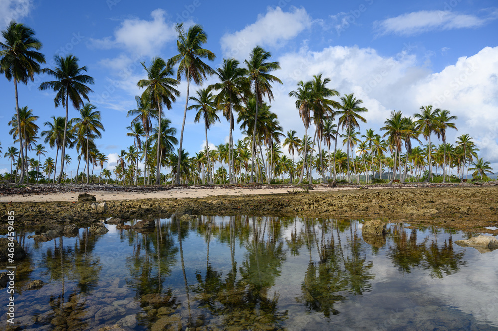 view exotic bay reflection on ocean salt water view exotic bay reflection on ocean salt water