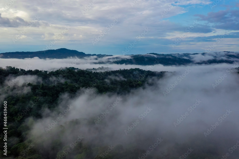 silhoutte of a forest covered in fog and a beautiful cloudscape